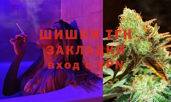 гидра Арсеньев