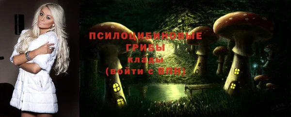 гидра Арсеньев